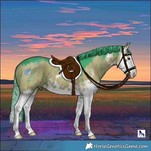Horse Color:Watercolor Grullo Sabino Splash Brindle 