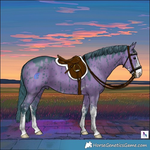 Horse Color:Watercolor Grullo Sabino Brindle 