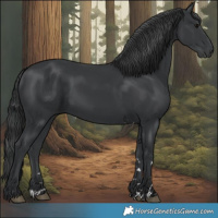 Horse Color:Black 