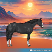 Horse Color:Black 
