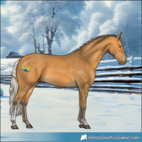Horse Color:Silver Buckskin Tobiano Rabicano 