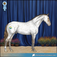 Horse Color:Classic Cream Champagne Roan Appaloosa 