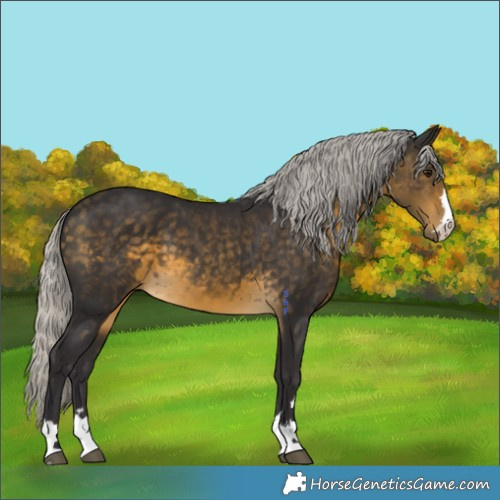 Horse Color:Silver Buckskin 