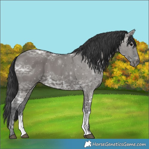 Horse Color:Grullo Ice Sabino 