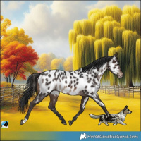 Horse Color:Brown Near Leopard Rabicano 