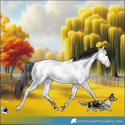 Horse Color:Liver Red Dun Fewspot