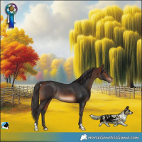 Horse Color:Bay Appaloosa Rabicano 