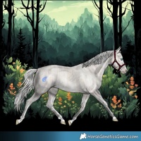 Horse Color:Cremello Splash  and Cremello Splash 