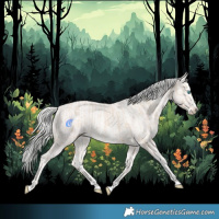 Horse Color:Cremello Splash  and Cremello Splash 