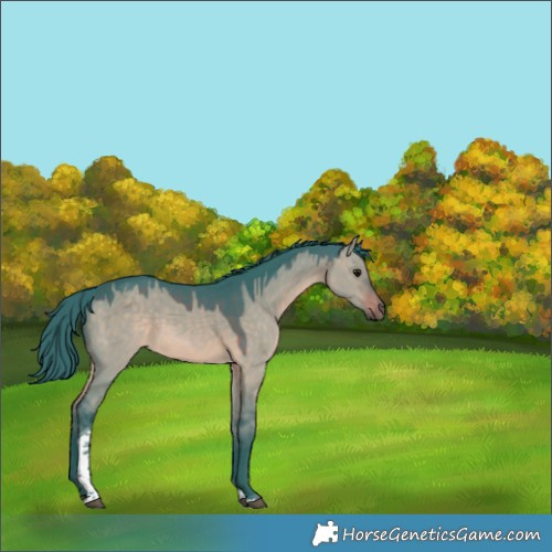 Horse Color:Watercolor Brown Dun Tobiano Rabicano 