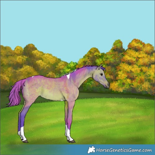 Horse Color:Watercolor Brown Dun Tobiano Rabicano 