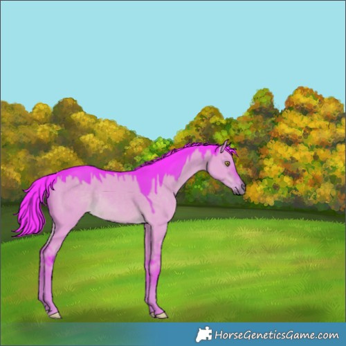 Horse Color:Watercolor Liver Red Dun Rabicano 