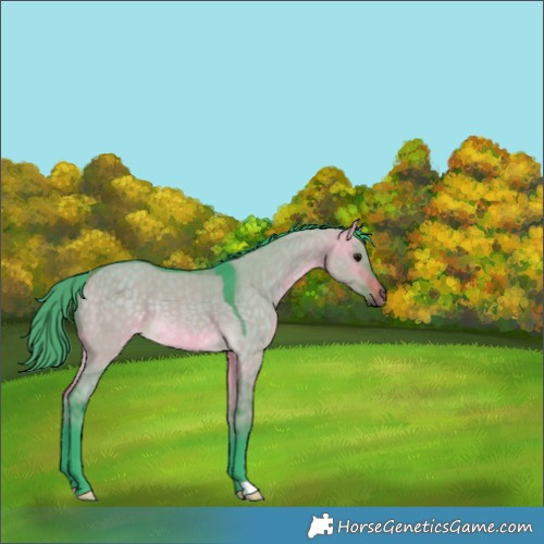 Horse Color:Watercolor Buckskin Dun Rabicano 