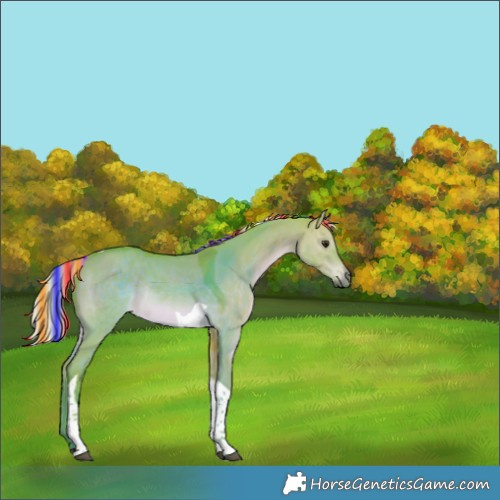 Horse Color:Painted Watercolor Chocolate Silver Brown Dun Tobiano Rabicano 