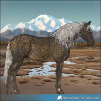 Horse Color:Silver Buckskin 