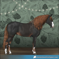 Horse Color:Liver Chestnut  and Liver Chestnut 