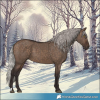 Horse Color:Silver Brown Dun 