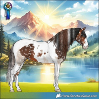Horse Color:Sable Champagne Dun Tobiano Snowflake Varnish and Bay Tobiano Snowflake Varnish