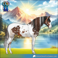 Horse Color:Sable Champagne Dun Tobiano Snowflake Varnish and Bay Tobiano Snowflake Varnish