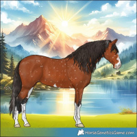 Horse Color:Bay Snowflake Varnish