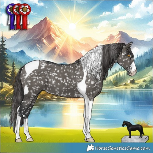 Horse Color:Grullo Tobiano Appaloosa 