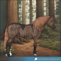 Horse Color:Liver Red Dun Brindle 