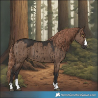 Horse Color:Liver Red Dun Brindle 