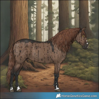 Horse Color:Liver Red Dun Brindle 