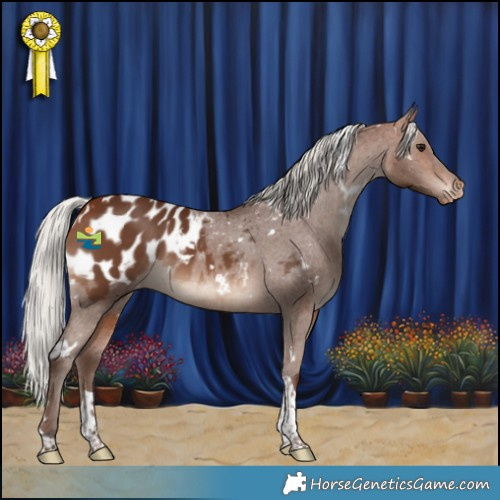 Horse Color:White Spotted Silver Brown Tobiano Appaloosa 