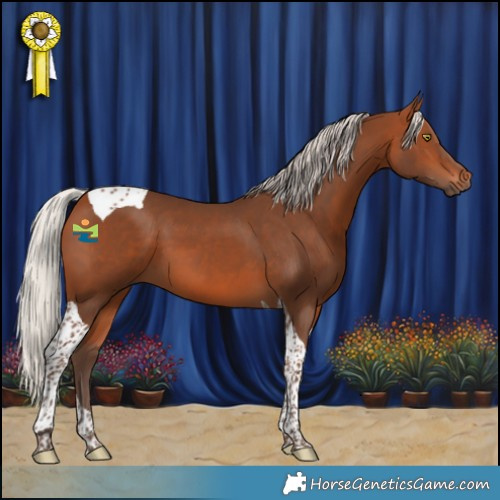 Horse Color:Silver Brown Tobiano 