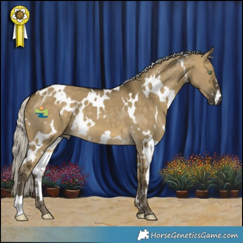 Horse Color:White Spotted Silver Buckskin Dun 