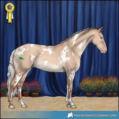 Horse Color:White Spotted Silver Classic Champagne Dun 