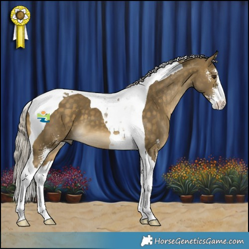 Horse Color:Silver Buckskin Dun Sabino Tobiano 
