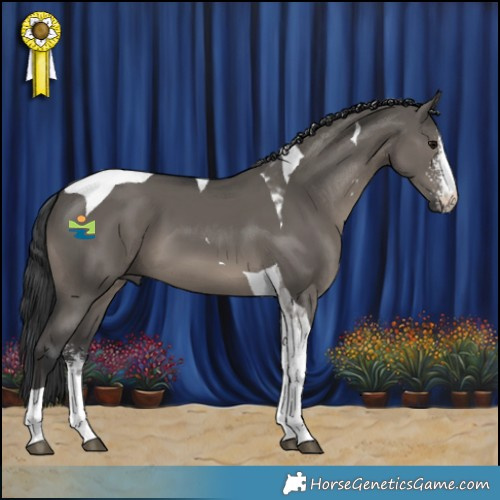 Horse Color:Grullo Sabino Tobiano 