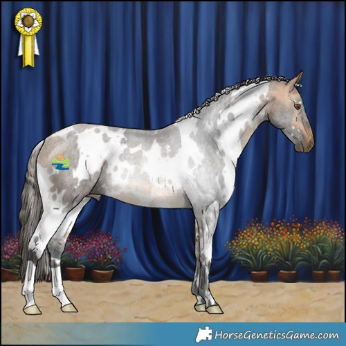 Horse Color:White Spotted Buckskin Rabicano 