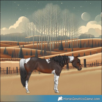Horse Color:Brown Tobiano 