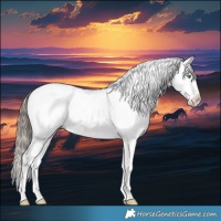 Horse Color:White Spotted Amber Cream Champagne Dun Splash 