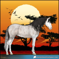Horse Color:Bay Roan Dun Splash 