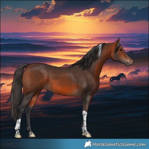 Horse Color:Bay Tobiano Rabicano 