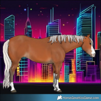 Horse Color:Silver Bay 