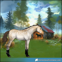 Horse Color:Void Buckskin Ice Dun Tobiano 