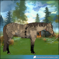 Horse Color:Void Buckskin Ice Dun Sabino 
