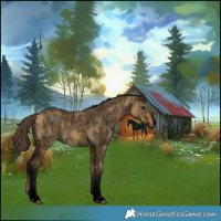 Horse Color:Void Buckskin Ice Dun Sabino