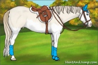 Horse Color:Perlino Roan Dun Splash 
