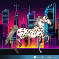 Horse Color:Chestnut Leopard 
