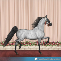 Horse Color:Blue Roan 