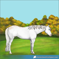 Horse Color:Silver Sable Champagne Dun Sabino Splash Frame 