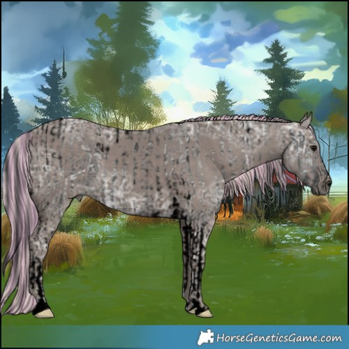 Horse Color:Void Painted Black Ice Tobiano  and Void Painted Silver Black Ice 