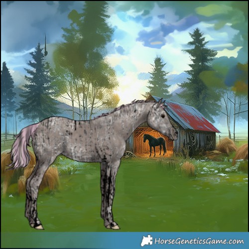 Horse Color:Void Painted Black Ice Tobiano and Void Painted Silver Black Ice