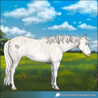 Horse Color:Cremello Sabino  and Cremello Sabino 